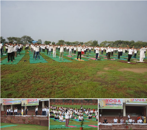 International Yoga Day 2025 Celebrated - Sharda University Agra