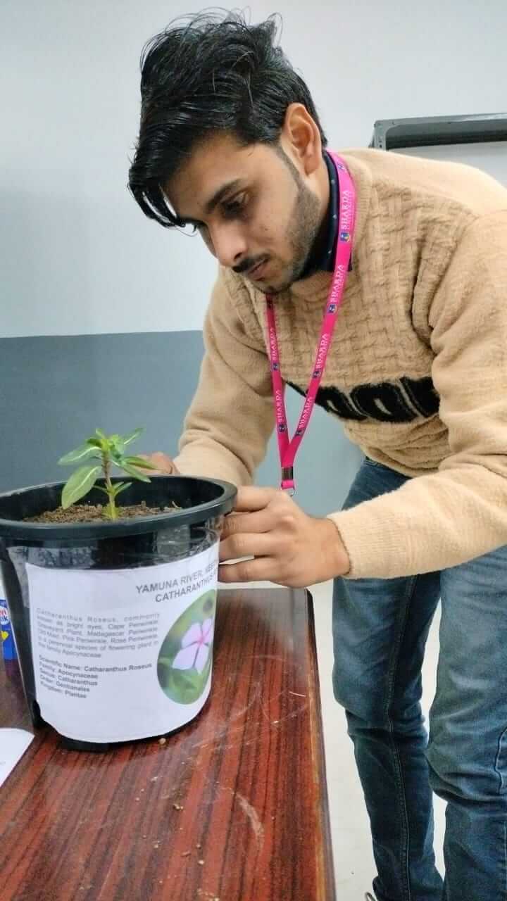 treeplant 5